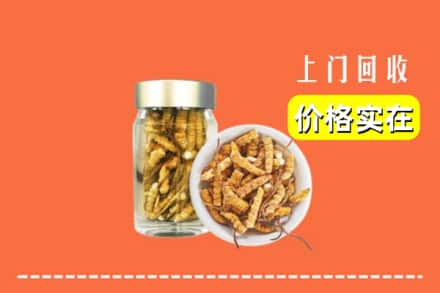 收购资讯:秀峰区回收散虫草