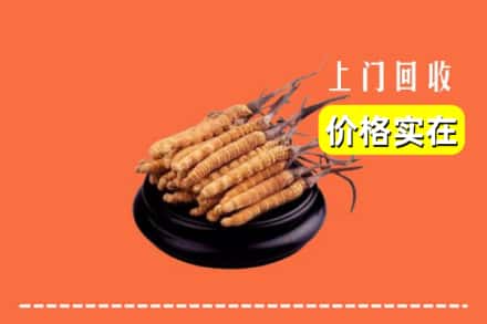 秀峰区回收冬虫夏草