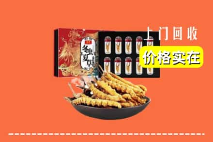 秀峰区回收虫草